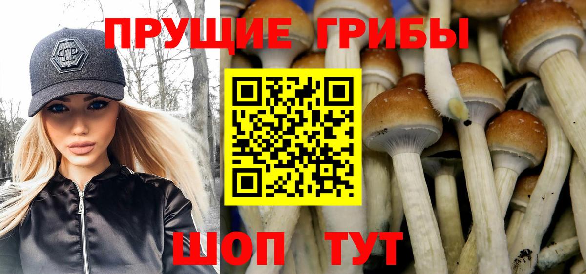Галлюциногенные грибы MAGIC MUSHROOMS Клинцы