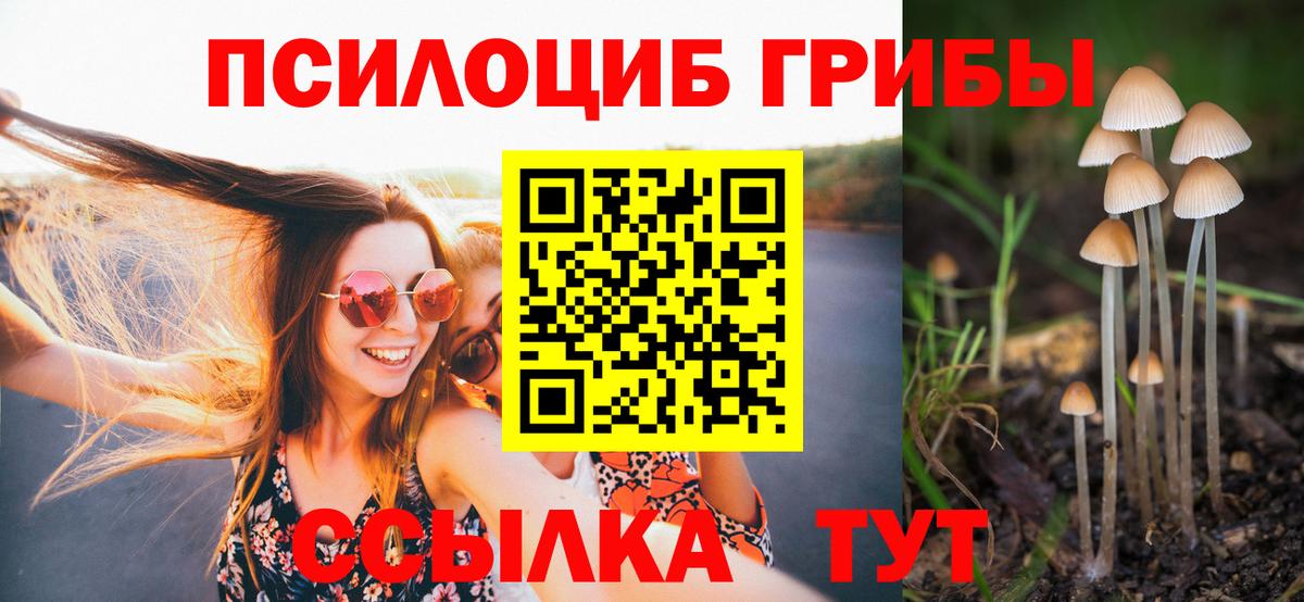 Клинцы  Галлюциногенные грибы Cubensis  Вход с VPN 